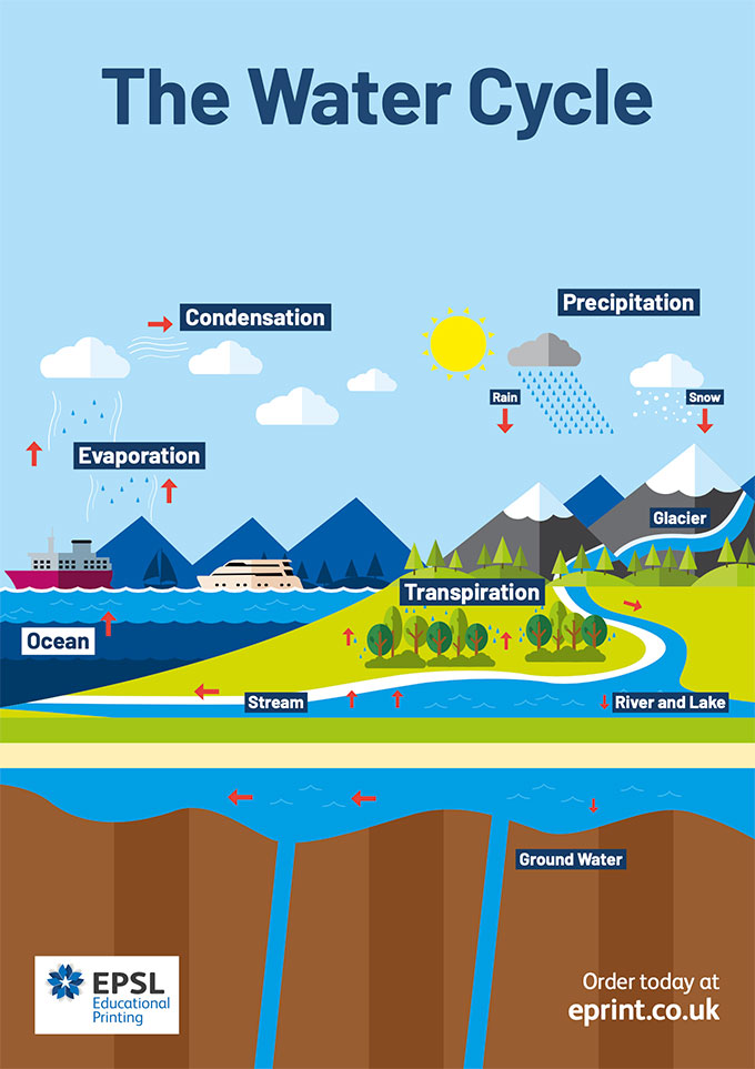 Water cycle poster
