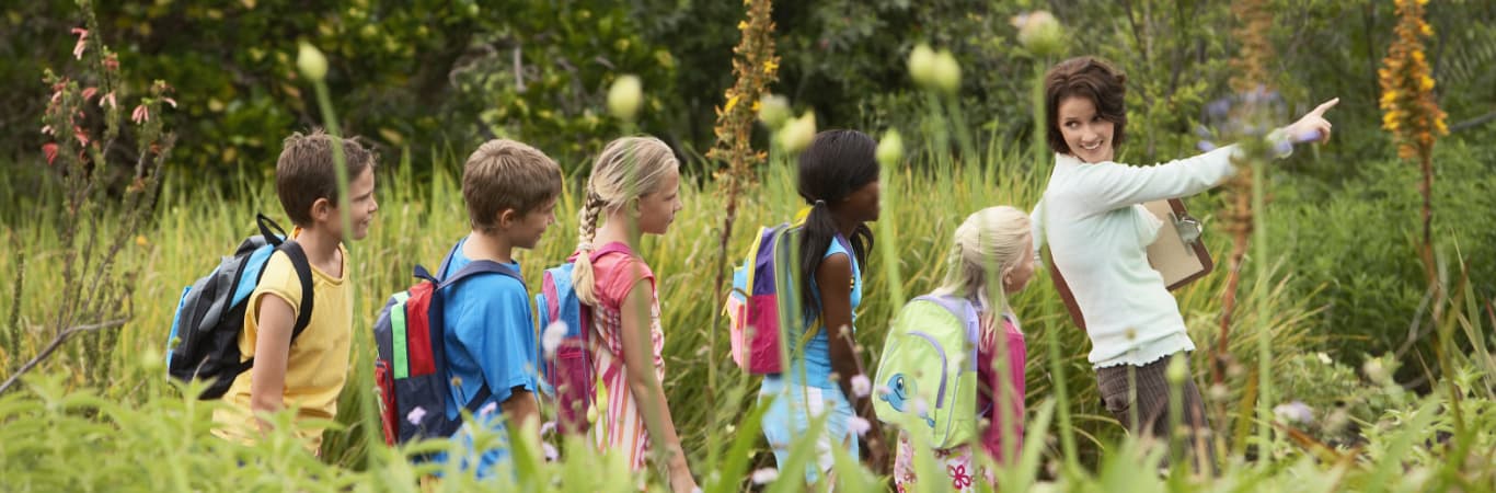Spring is approaching; here’s why you should try outdoor learning!